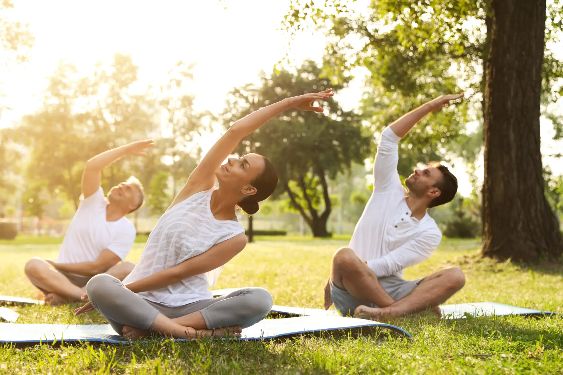 Group practising morning yoga in a sunlit park